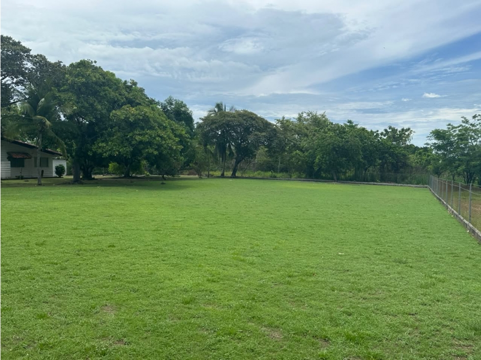 TERRENO / CHAME / 1250 M2 / CORONADO / LOTE PLANO / CLIMAS FRESCOS — foto 3