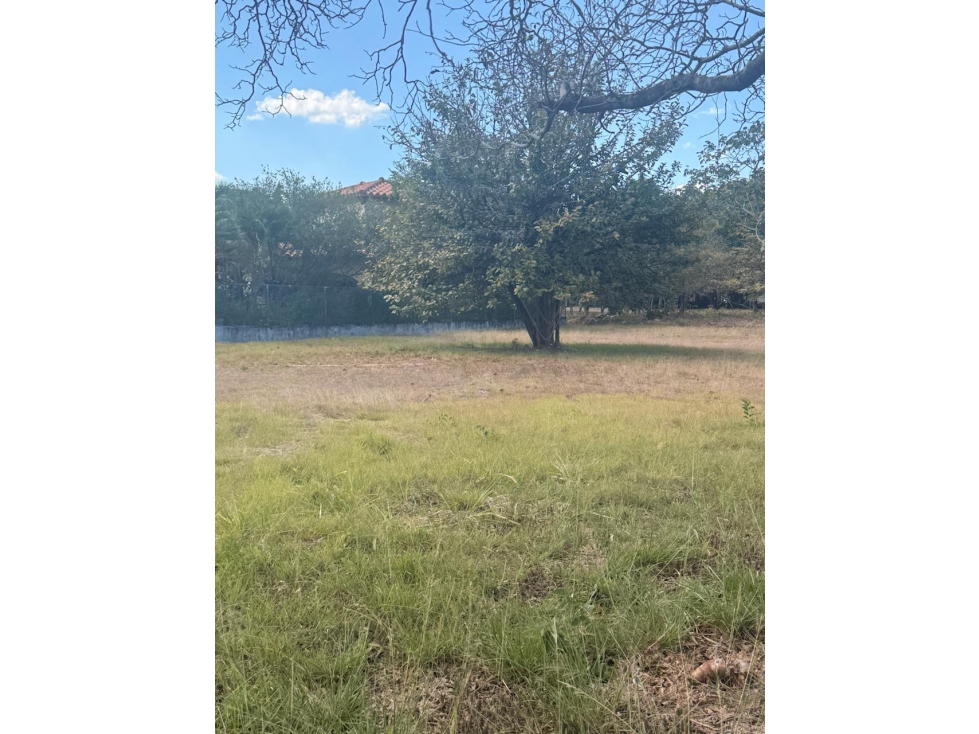 TERRENO / CHAME / 1,164 M2 / CORONADO & COUNTRY CLUB / PLANO — foto 3