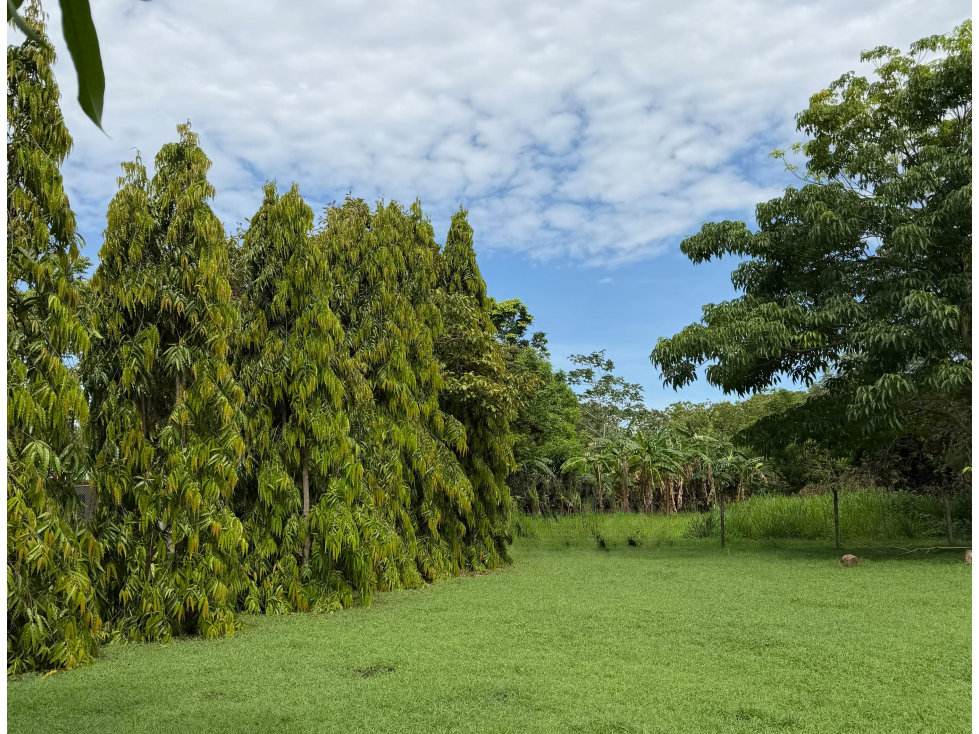 TERRENO / CHAME / LAS LAJAS / 1286 M2 / CERCA DE LA PLAYA