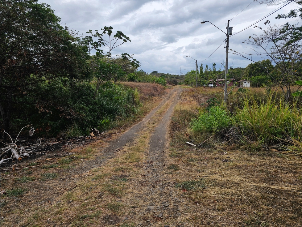 SE VENDE TERRENO EN SAN CARLOS 771 M2 CON ARBOLES FRUTALES — foto 4