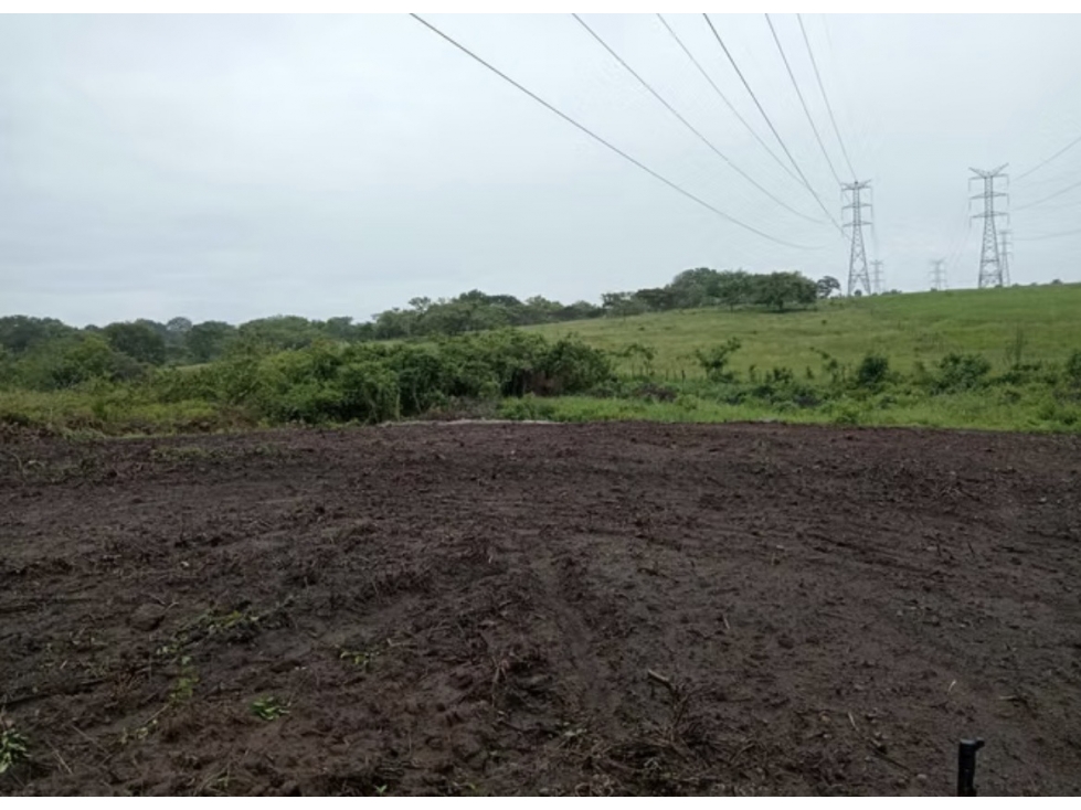 FINCA / COCLE / ANTON / 5.5 HECTAREAS / CON POZO - 1