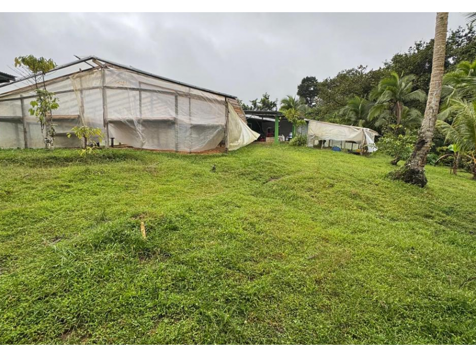 FINCA / COCLE / LA PINTADA / 17 HECTAREAS / FRENTE AL RIO - 1