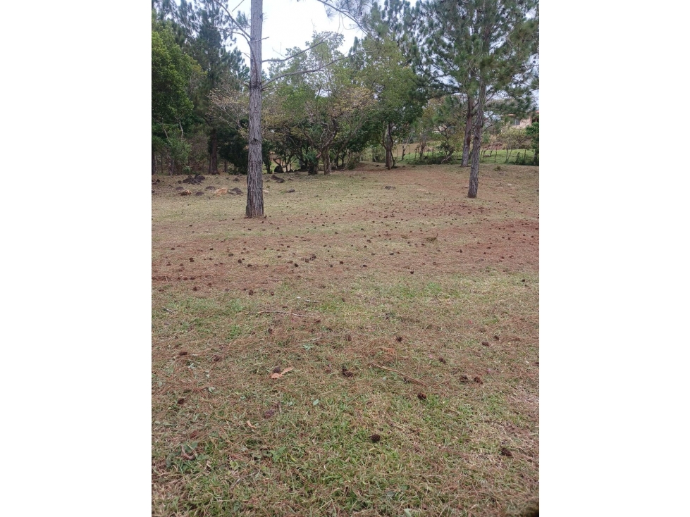 TERRENO / CHAME / CHICA / 2165 M2 / VIA ASFALTADA / CLIMAS FRESCOS — foto 3