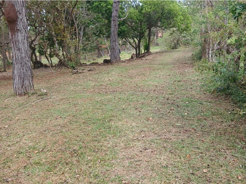 TERRENO / CHAME / CHICA / 2165 M2 / VIA ASFALTADA / CLIMAS FRESCOS