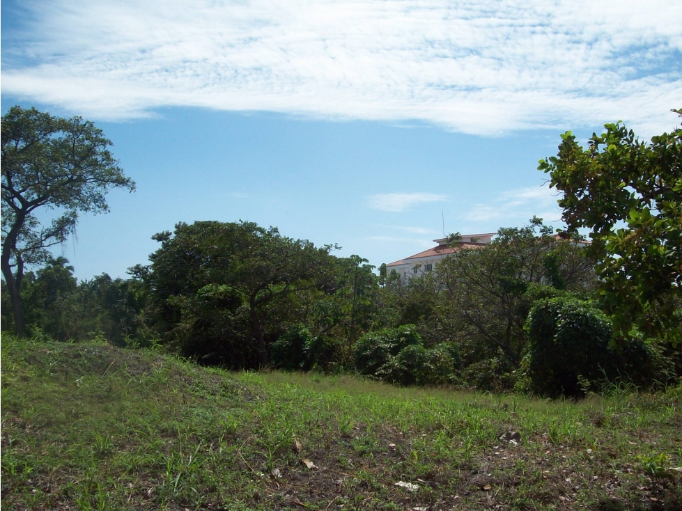 SE VENDE TERRENO EN CORONADO 1543 M2 CON VIA ASFALTADA — foto 2