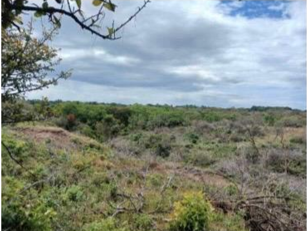 CHAME / LAS LAJAS / 3.03 HECTAREAS / TERRENO / ZONAS VERDES / RIO