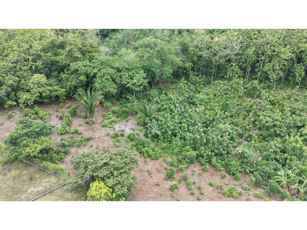 CAPIRA / VILLA CARMEN / 5783M / TERRENO AMPLIO / RODEADO DE VEGETACION