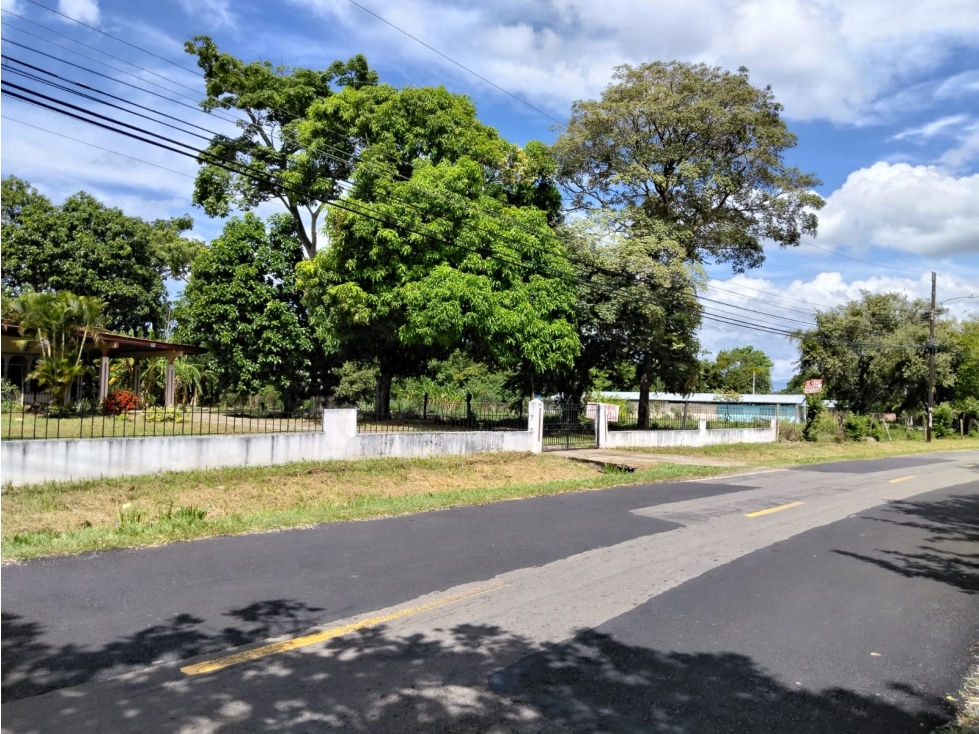 SE VENDE TERRENO 2 HECTAREAS EN COCLE CHURUBE SOBRE VIA ASFALTADA - 1