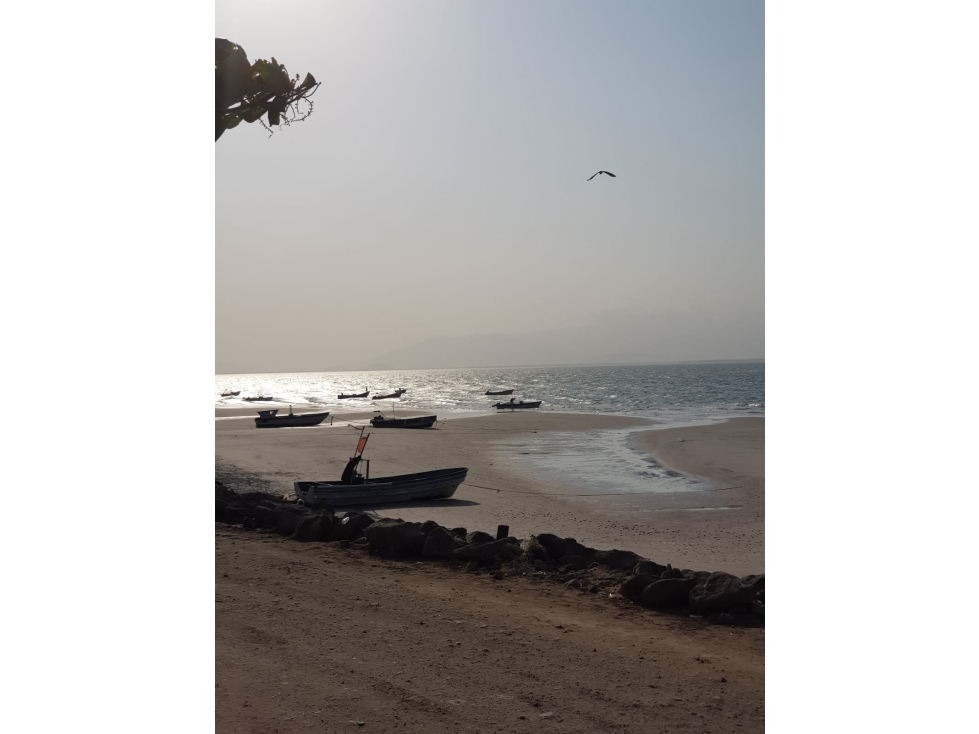 SE VENDE TERRENO EN PUNTA CHAME 1100 M2 FRENTE AL MAR CON ZONAS VERDES - 2