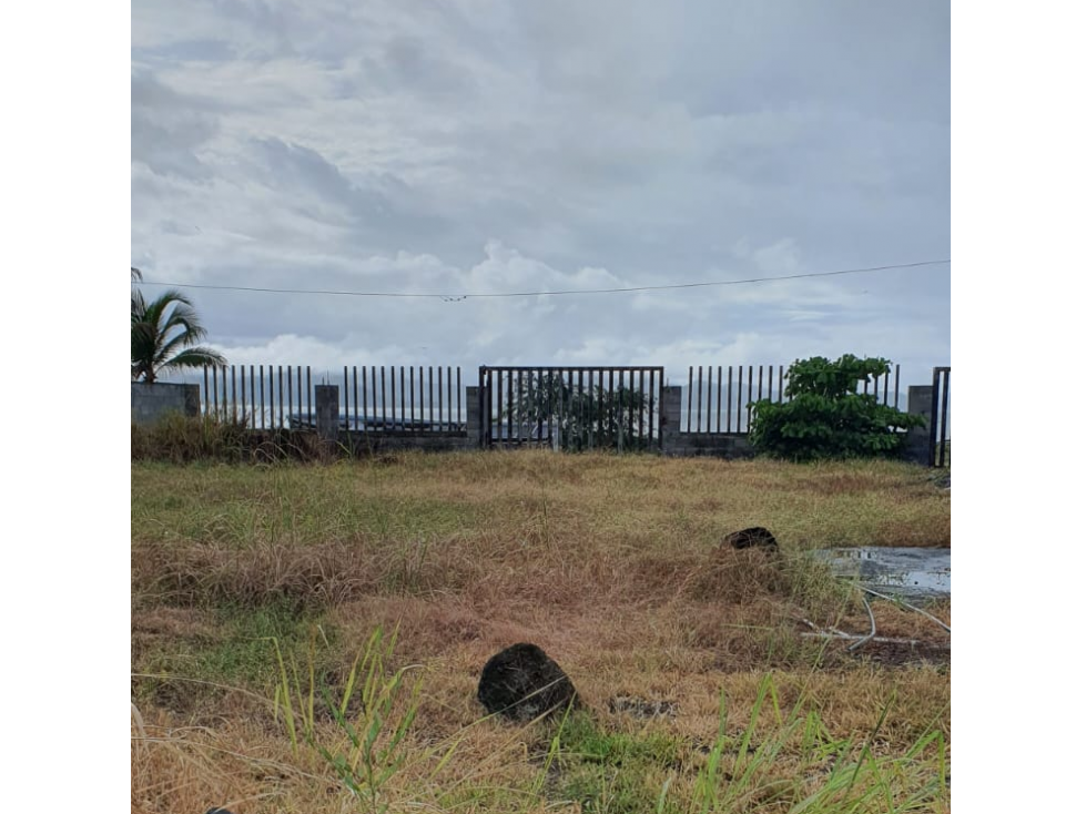 SE VENDE TERRENO EN PUNTA CHAME 1100 M2 FRENTE AL MAR CON ZONAS VERDES - 4