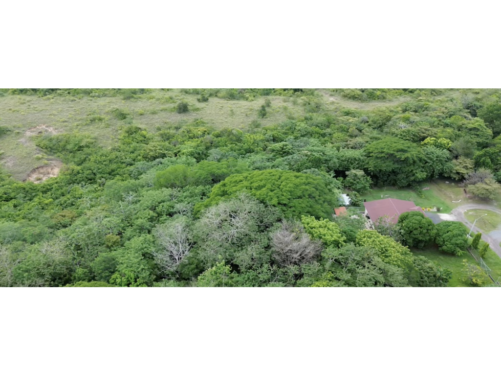 SE VENDE TERRENO 7.9 HECTAREAS EN PENONOME MIRAFLORES CON CASA - 3