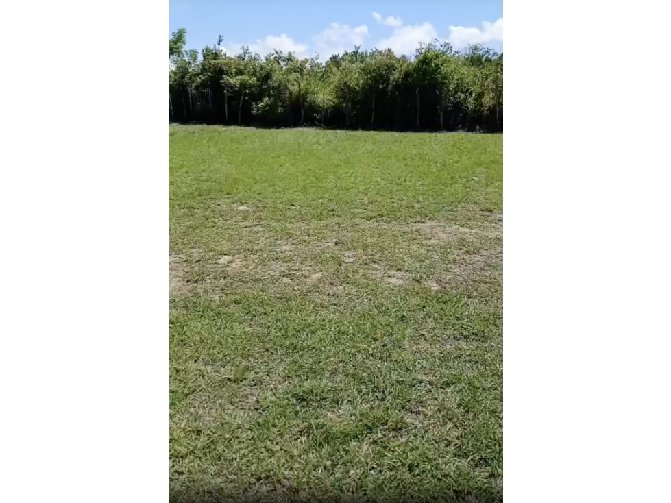 COCLE / ANTON / 19846 M2 / FINCA / CON CASA / PISCINA / ZONAS VERDES - 4