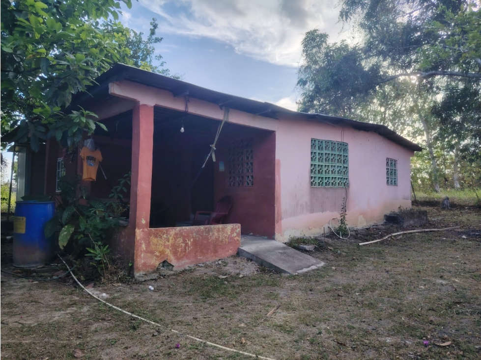 SE VENDE TERRENO 1021M EN COCLE RIO HATO CON CASA Y ZONAS VERDES - 3