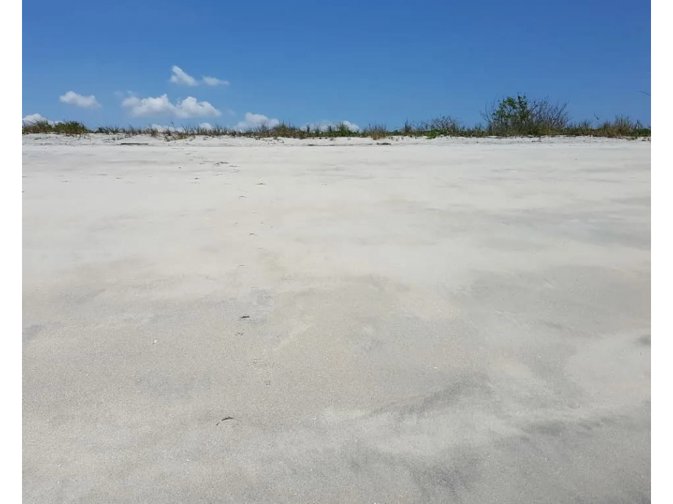 SE VENDE TERRENO CON BELLAS VISTAS 9381M EN PUNTA CHAME FRENTE AL MAR