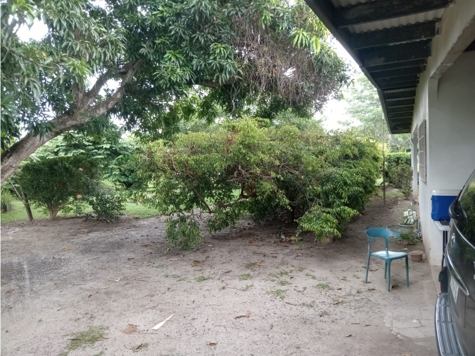 COCLE / ANTON / 3 HABITACIONES / 1200 M2 / TERRAZA / CERCADA - 2