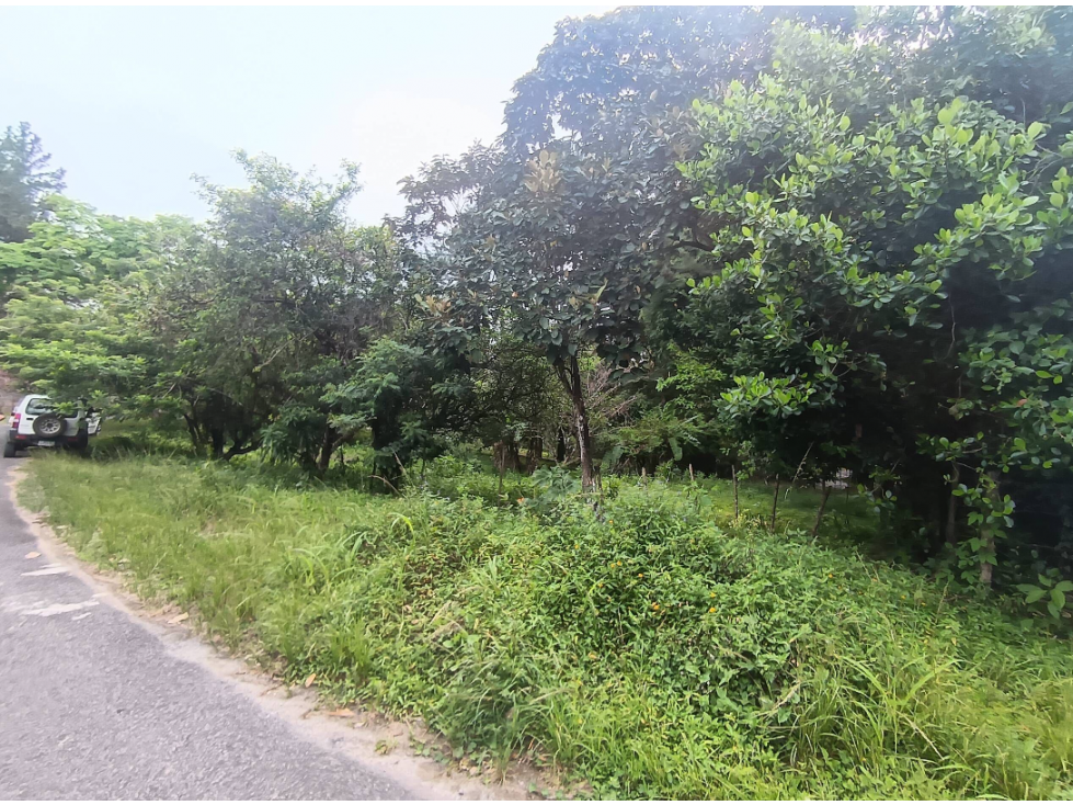 CHAME / SORA / 1595M / TERRENO SEMI-PLANO / SOBRE VIA ASFALTADA
