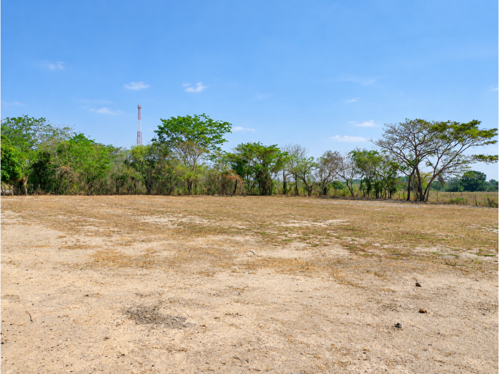 SE VENDE TERRENO COCLÉ EL CHIRÚ PLAYA 4400M SEGUNDA LINEA DEL MAR - 5