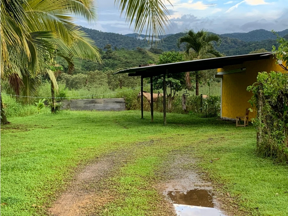 PORTOBELO COLON / NUEVO TONOSI / CASA CON RESTAURANTE / 1 HECT - 3
