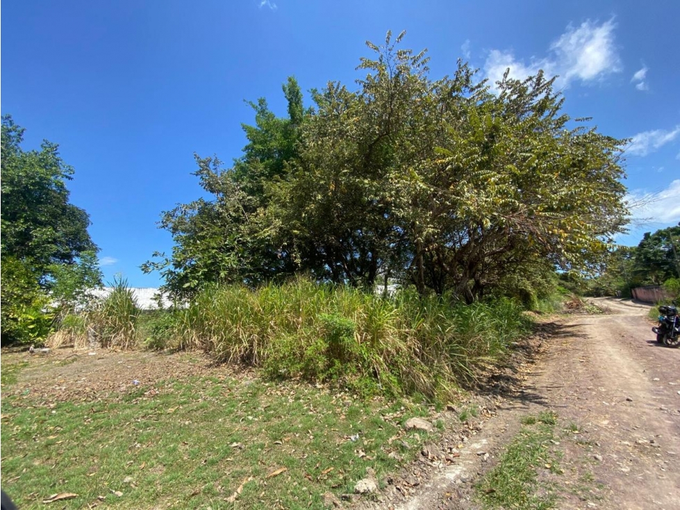 SE VENDE TERRENO EN NUEVA GORGONA 1200M A MINUTOS DE LA PLAYA — foto 4