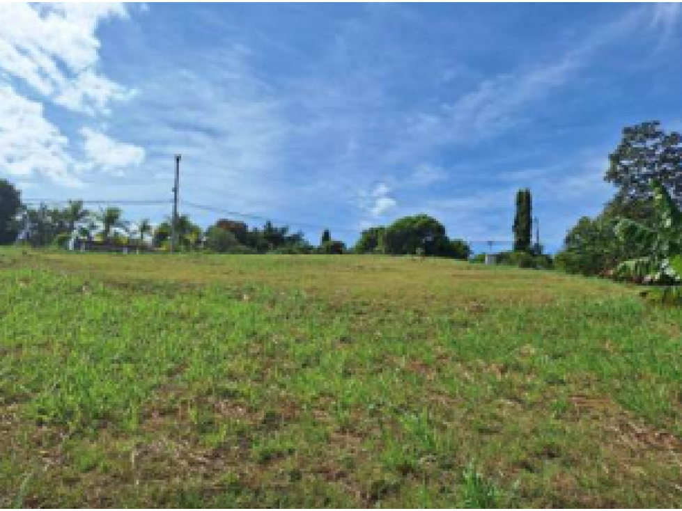 SAN CARLOS / TERRENO / 10433 M2 / CASA OBRA GRIS / CALLE ASFALTADA