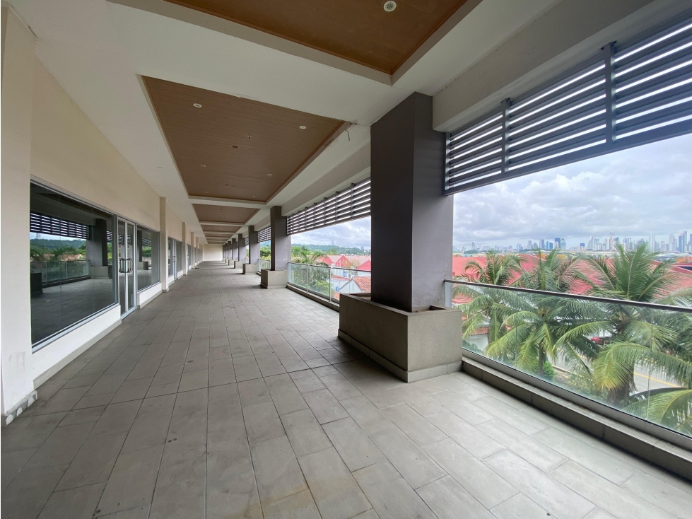 LOCAL COMERCIAL / PASEO ALBROOK / PLANTA ALTA / 246 M2 / TERRAZA