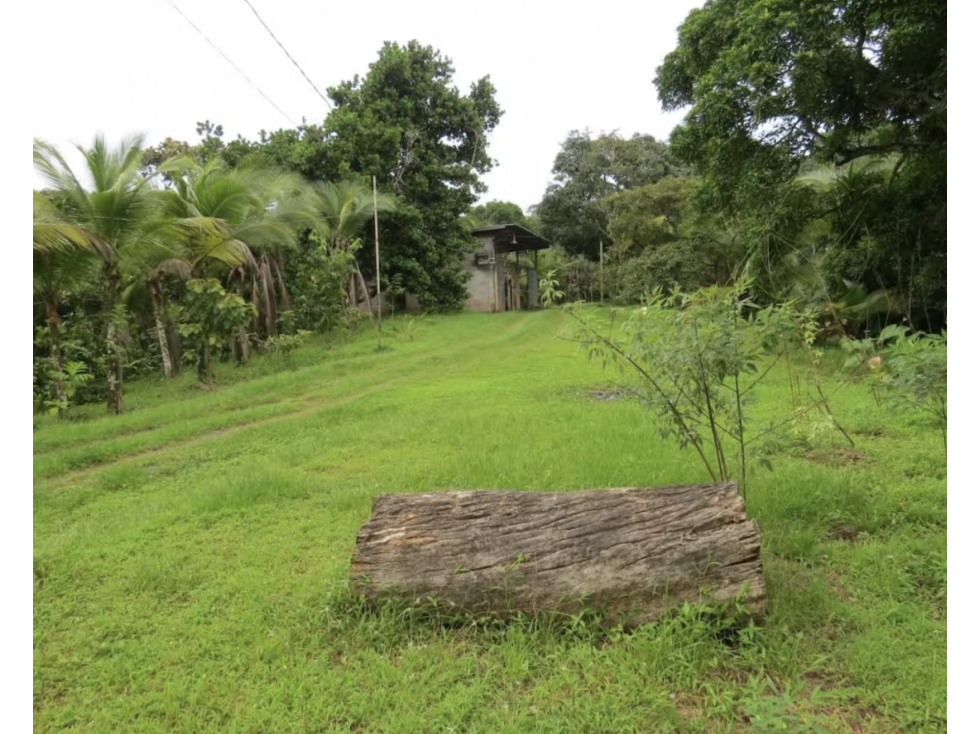 COLON / SABANITAS / 109790M / FINCA CAMPESTRE / VIA PRINCIPAL - 2