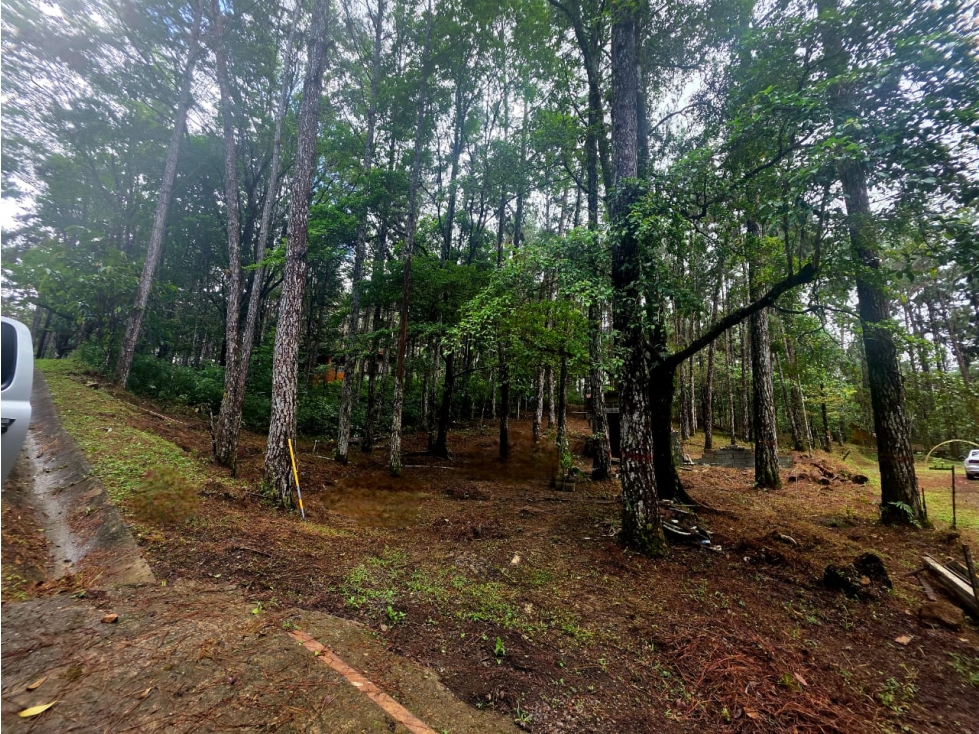 CERRO AZUL / TERRENO SEMI PLANO / 1218M / CLIMA FRIO / FRENTE A VIA
