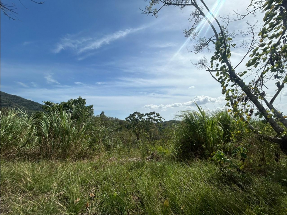 TERRENO / ARRAIJAN / BIQUE / 3 HECTAREAS / POZO DE AGUA — foto 2