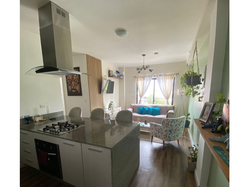 SE VENDE APARTAMENTO LAS ACACIAS PH COLONIAL PARK 54 M 2 HABITACIONES
