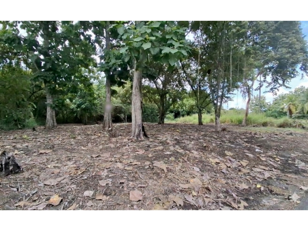 SAN CARLOS / LAGO MAR / 1600M / TERRENO / FACIL ACCESO / VIA ASFALTADA