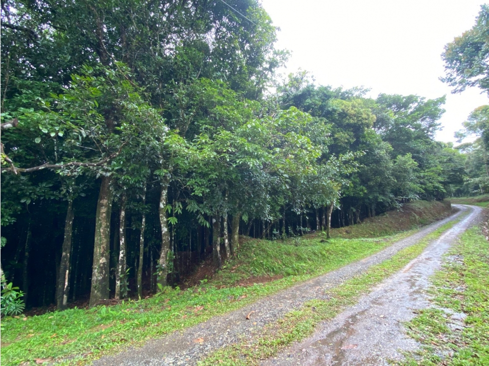 CERRO AZUL / TERRENO / 55 HECATREAS / BOSQUE / RIO / QUEBRADAS