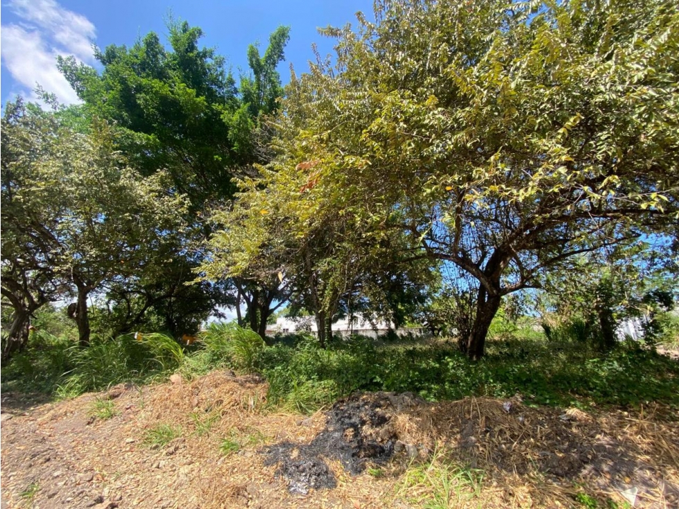 SE VENDE TERRENO EN NUEVA GORGONA 1200M A MINUTOS DE LA PLAYA — foto 6