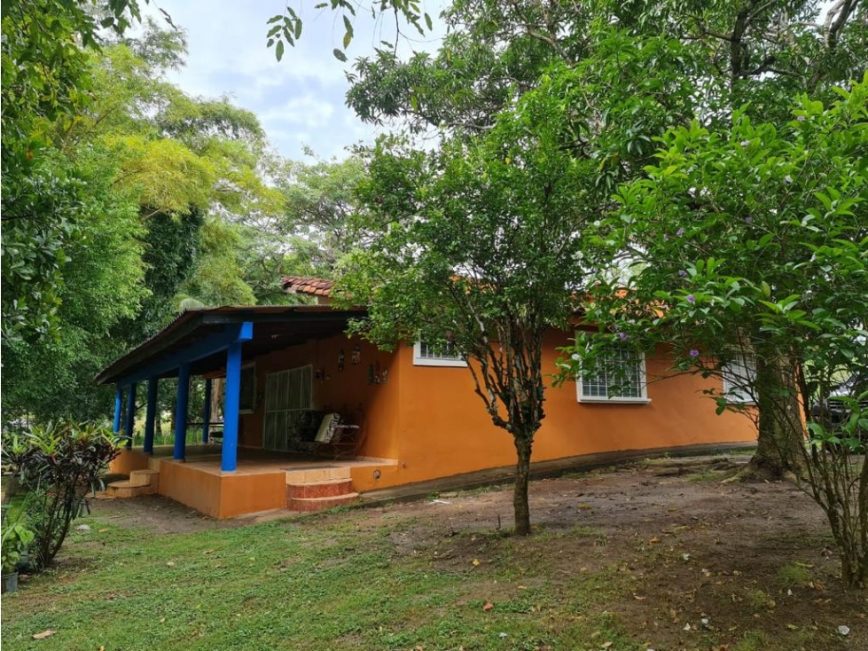 NUEVA GORGONA / 4 HECTAREAS / 5 HABITACIONES / PISCINA