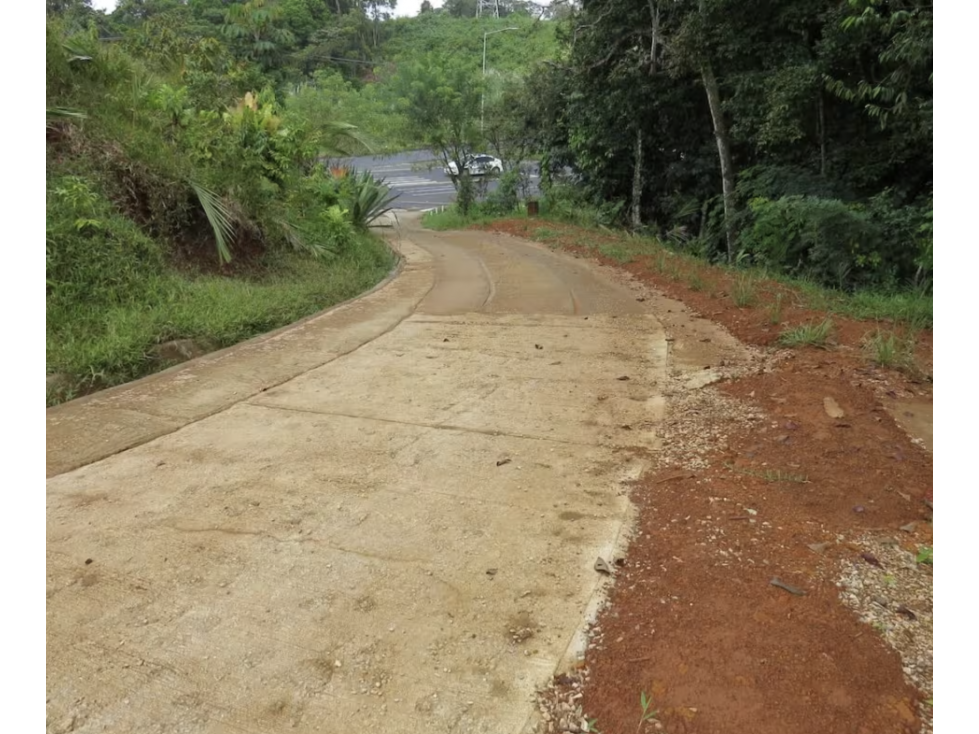 COLON / SABANITAS / 109790M / FINCA CAMPESTRE / VIA PRINCIPAL - 4