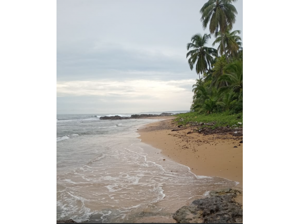 COLON / PLAYA CHIQUITA / 100 HECTAREAS / PARA DESARROLLO FRENTE AL MAR - 5