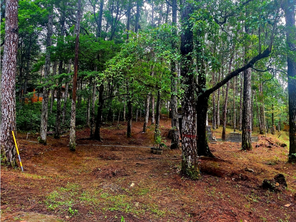 CERRO AZUL / TERRENO SEMI PLANO / 1218M / CLIMA FRIO / FRENTE A VIA — foto 4