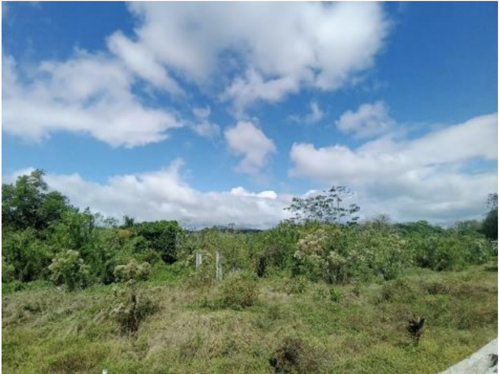 SE VENDE 6 HECTAREAS CAPIRA CON PROYECTO APROBADO VIA INTERAMERICANA - 1