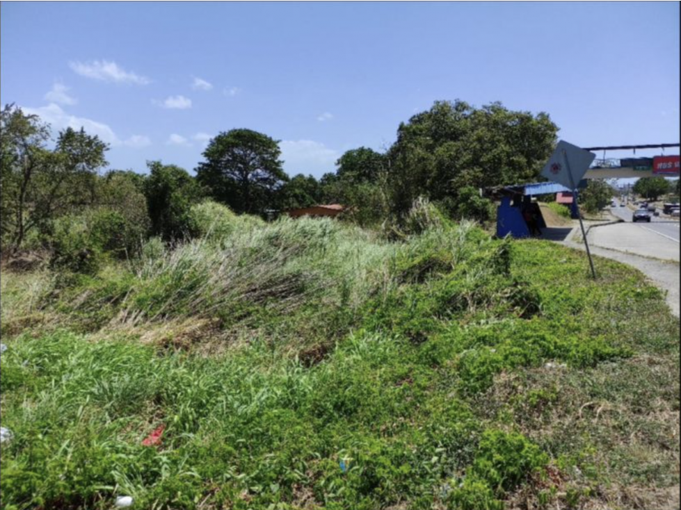 CHAME / 4332M / TERRENO IDEAL PARA GASOLINERA / SOBRE INTERAMERICANA — foto 4