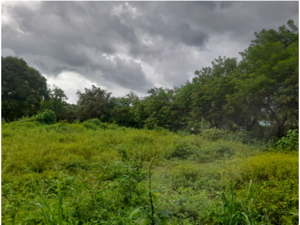 COCLE / RIO HATO / 5606M / SOBRE LA VIA / TOPOGRAFIA PLANA / AG - 1