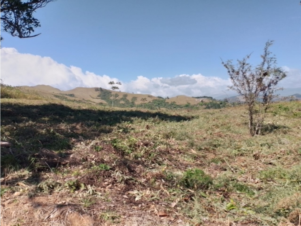 SAN CARLOS / LA LAGUNA / 4019M / VISTA AL MAR / PARA DESARROLLO — foto 4