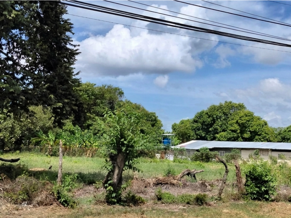 COCLE / CHURUBE / 6035 M2 / TERRENO PLANO / SOBRE VIA ASFALTADA - 1