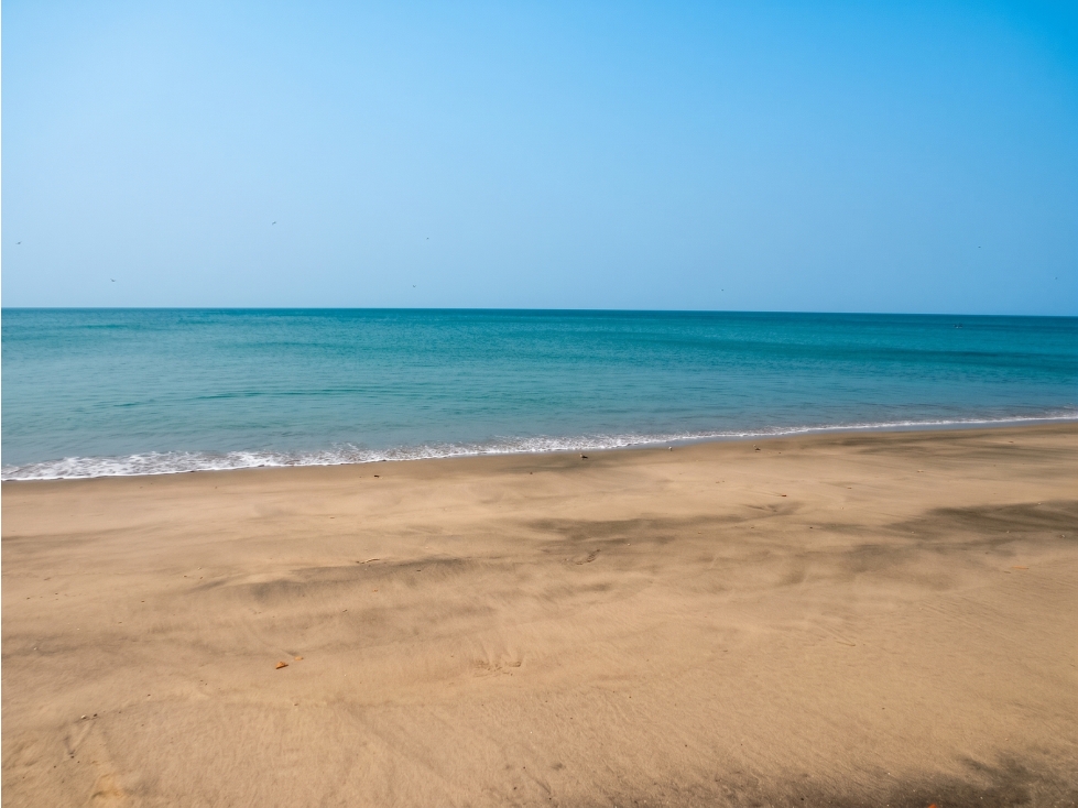 SE VENDE TERRENO COCLÉ EL CHIRÚ PLAYA 4400M SEGUNDA LINEA DEL MAR - 1