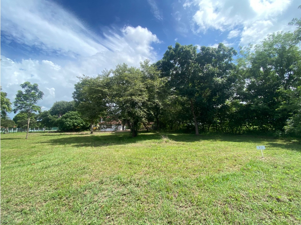 CHAME / LA COLONIA / TERRENO / 900M / GARITA / AREA SOCIAL