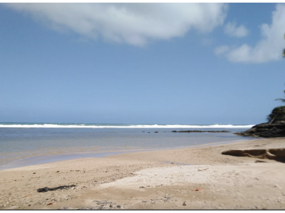 COLON / PLAYA CHIQUITA / 100 HECTAREAS / PARA DESARROLLO FRENTE AL MAR - 6