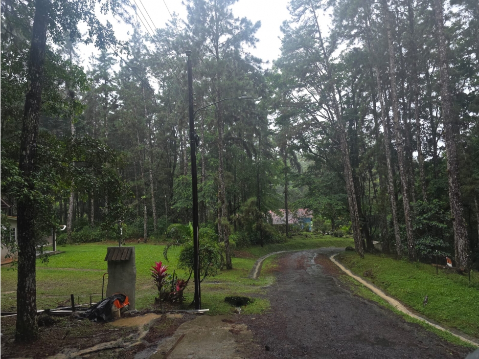 CERRO AZUL / TERRENO SEMI PLANO / 1218M / CLIMA FRIO / FRENTE A VIA — foto 3