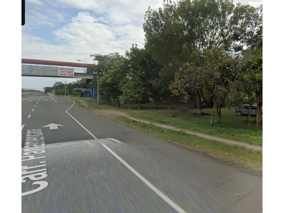 TERRENO 25 HECTAREAS / COCLE / EL CAÑO / CERCA DE INTERAMERICANA - 6