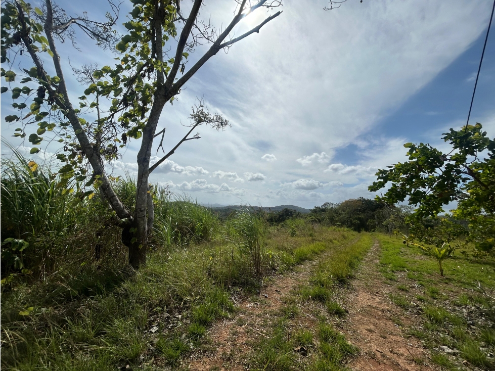 TERRENO / ARRAIJAN / BIQUE / 3 HECTAREAS / POZO DE AGUA — foto 4
