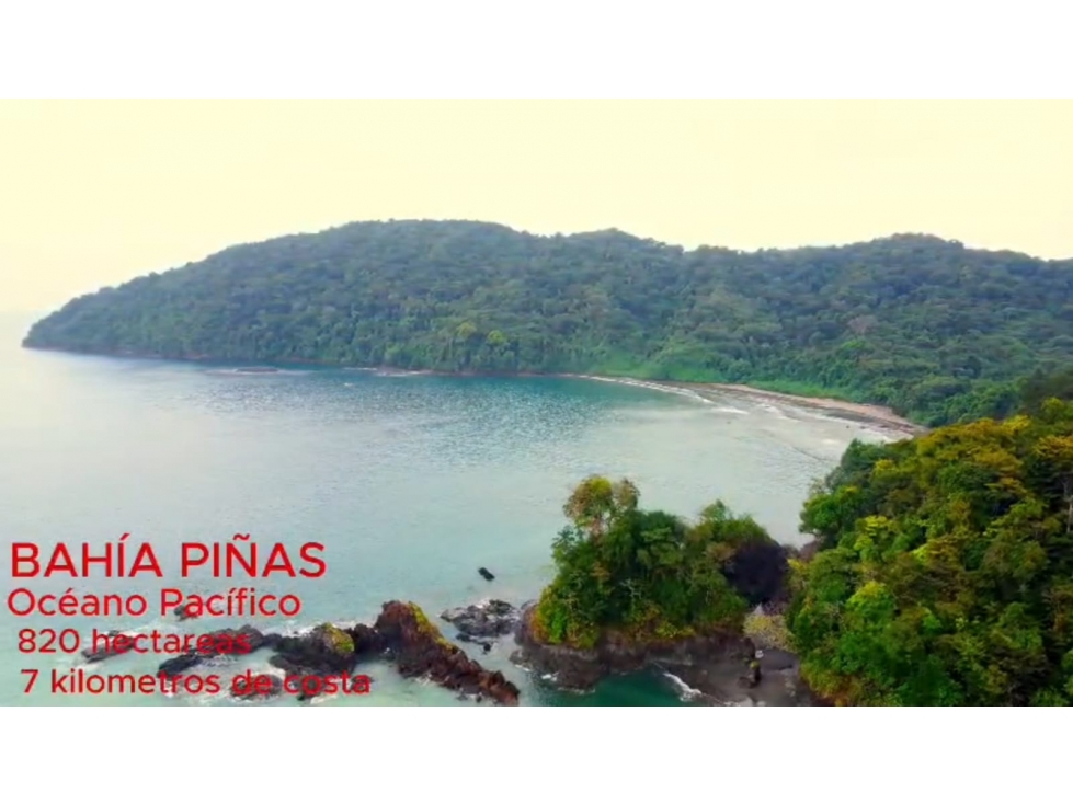 DARIEN / BAHIA PIÑA / 820 HECTAREAS / ISLA TOTALMENTE VIRGEN / AG - 4