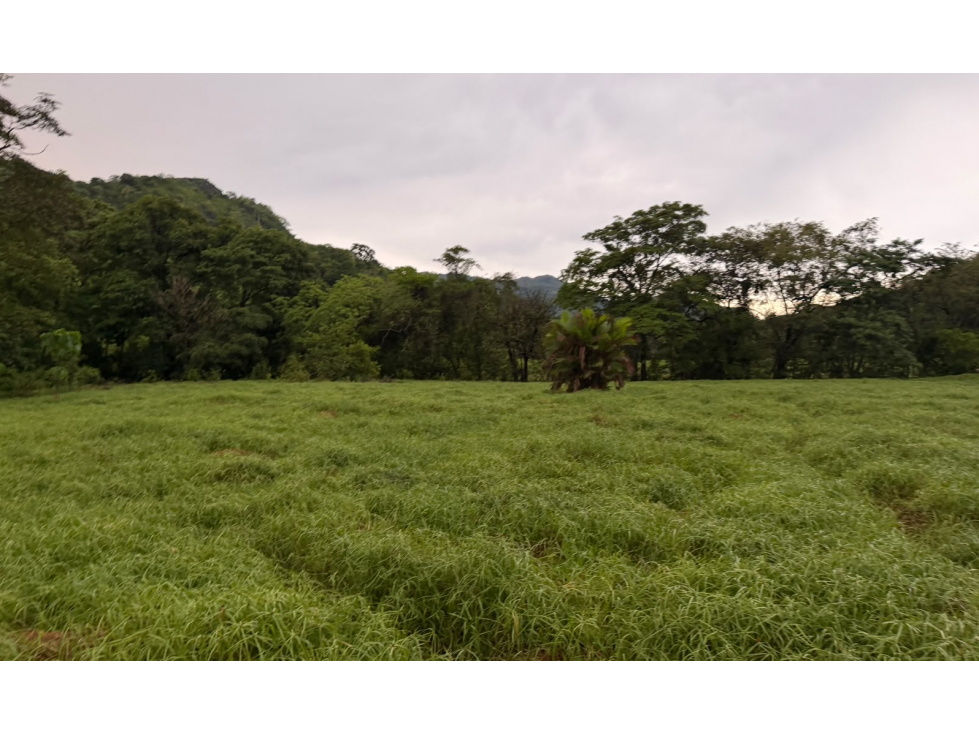 SE VENDE FINCA EN LOS CAJONES DE CHAME 7 HECTÁREAS VIA ASFALTADA — foto 2