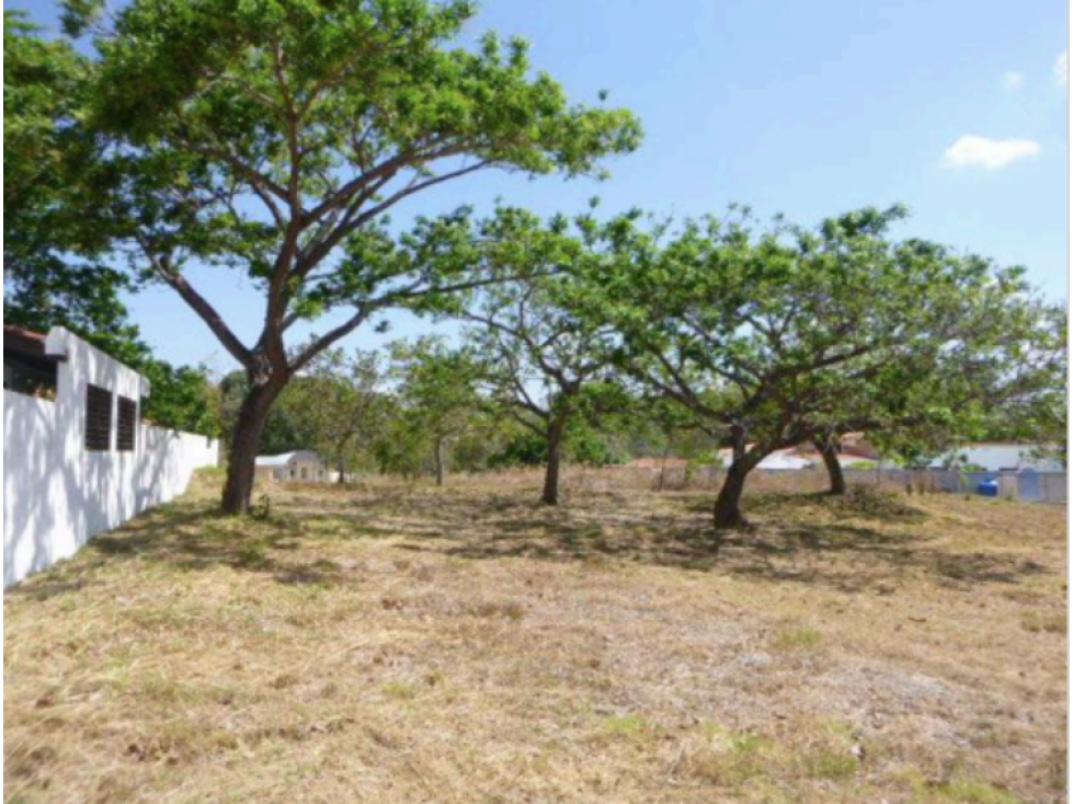 CORONADO / ALCAZAR PARK / 1100 M2 / TERRENO / SOBRE VIA ASFALTADA